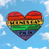 Sounds Gay I'm In Enamel Pin